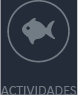 Ir a pagina de actividades